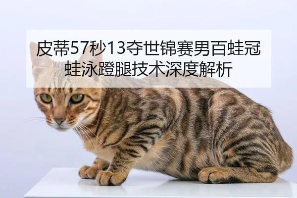 pi-di-miao-duo-shi-jin-sai-nan-bai-wa-guan-wa-yong-deng-tui-ji-shu-shen-du-jie-xi-3-217.jpg